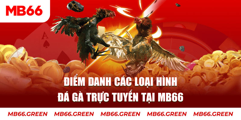 Điểm danh các loại hình đá gà trực tuyến tại MB66